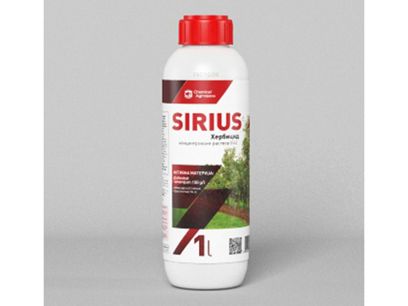 Sirius - Slika 1