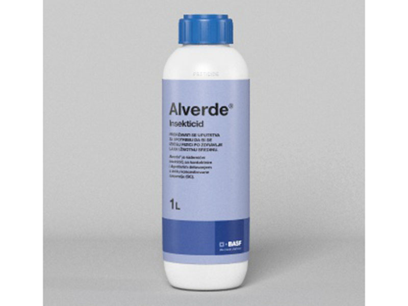 ALVERDE - Slika 1