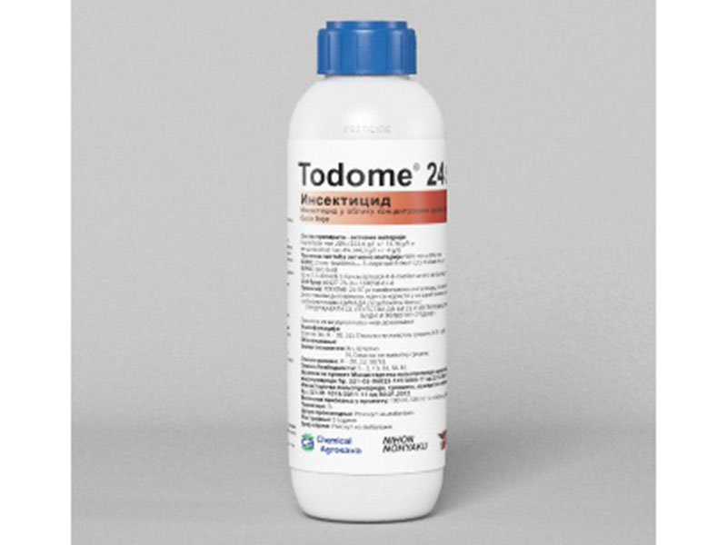 Todome 24 SC / 1lit