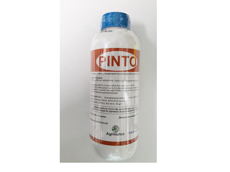 Pinto / 50mil