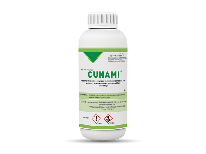 Cunami - Slika 1