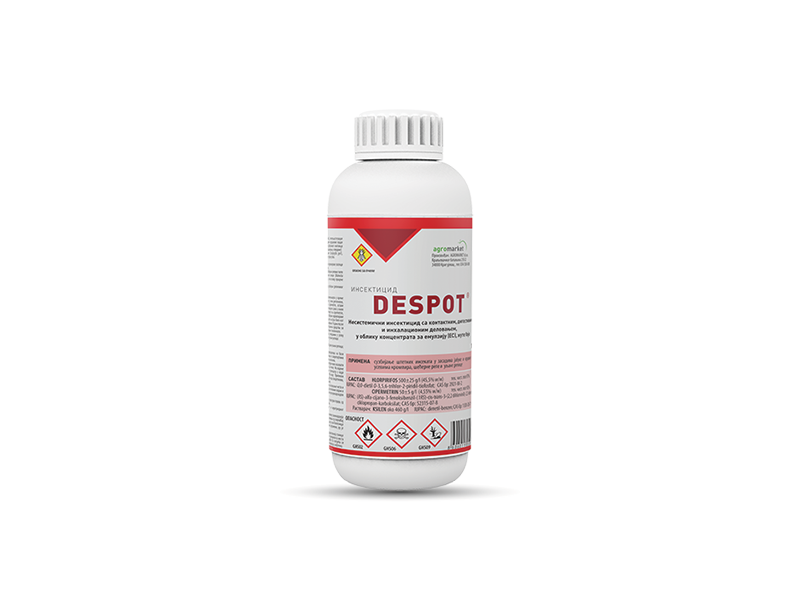Despot - Slika 1