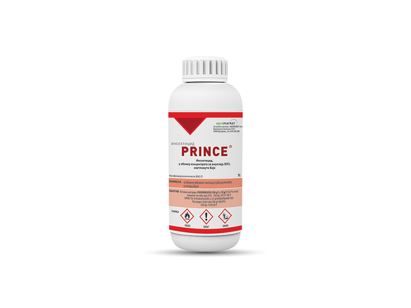 Prince - Slika 1
