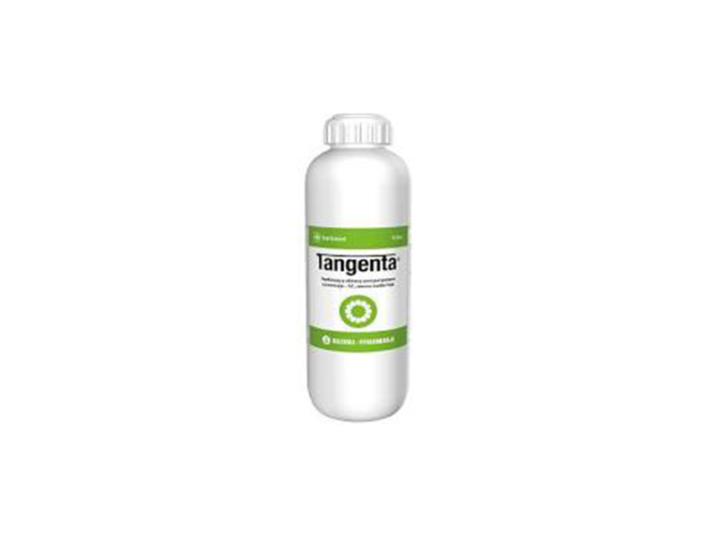 Tangenta - Slika 1