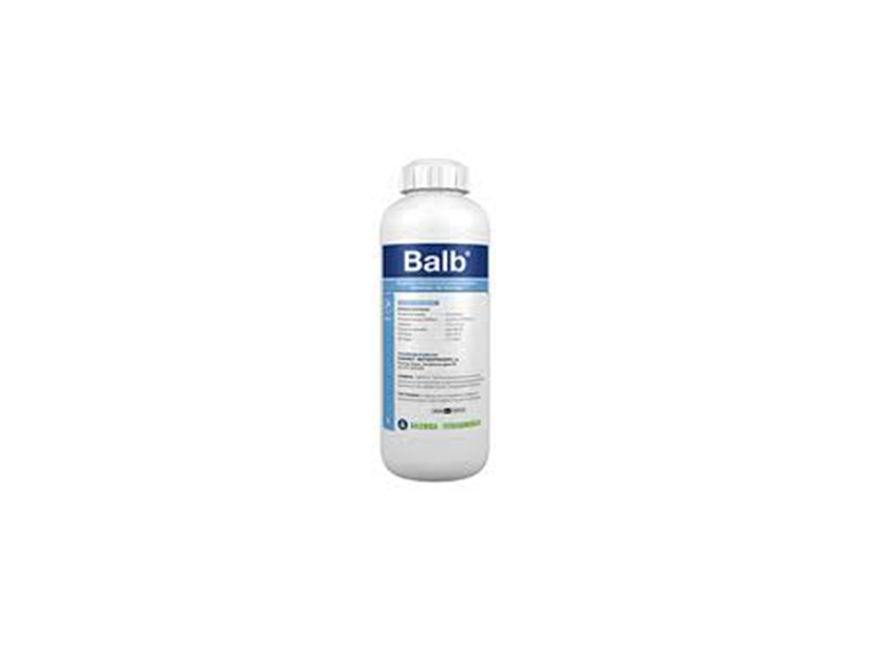 Balb - Slika 1