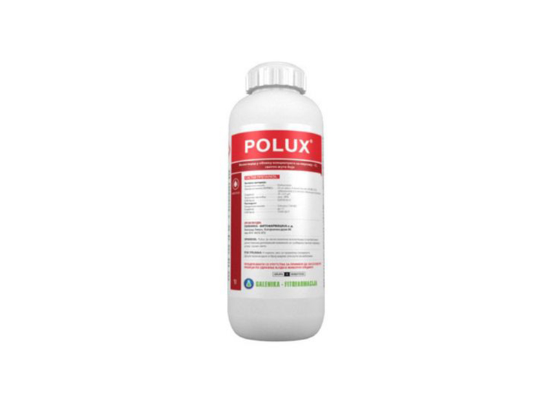 Polux - Slika 1