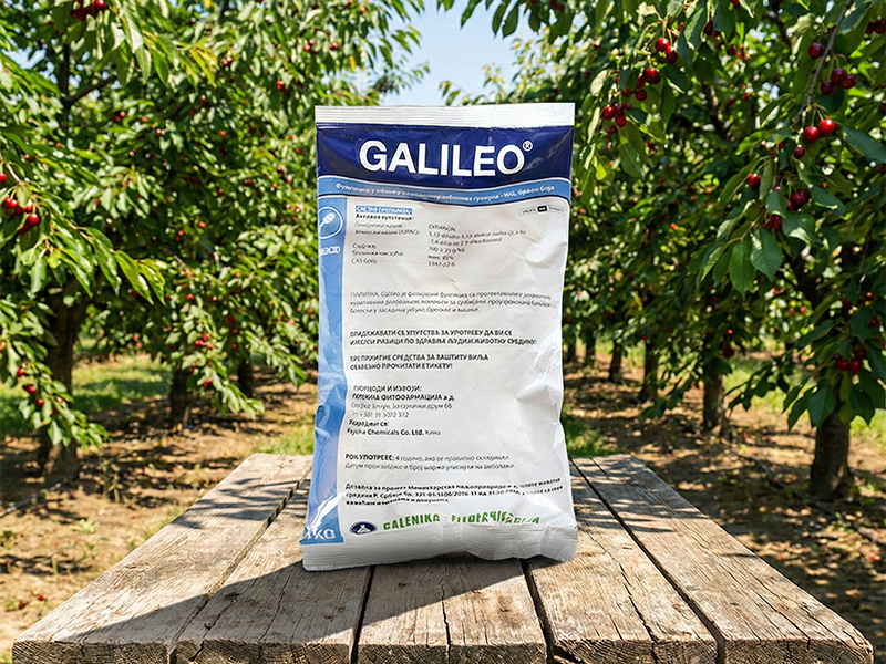 Galileo / 1kg