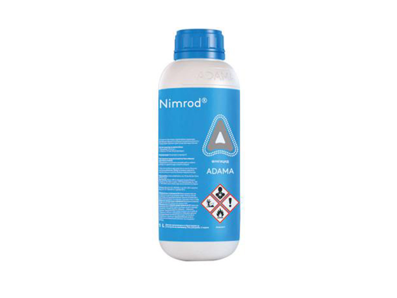 Nimrod - Slika 1