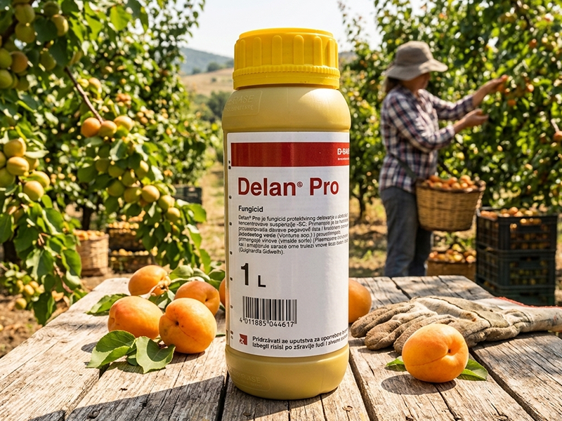 Delan pro / 1kg