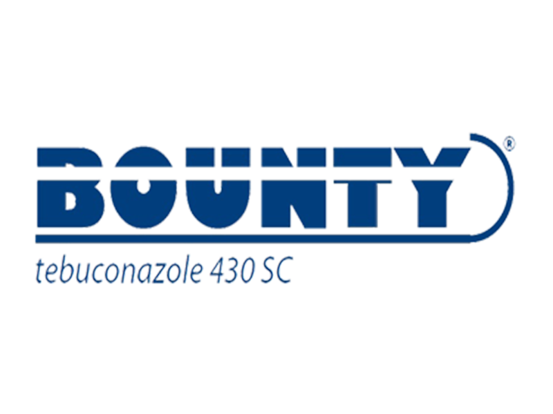 Bounty / 250ml