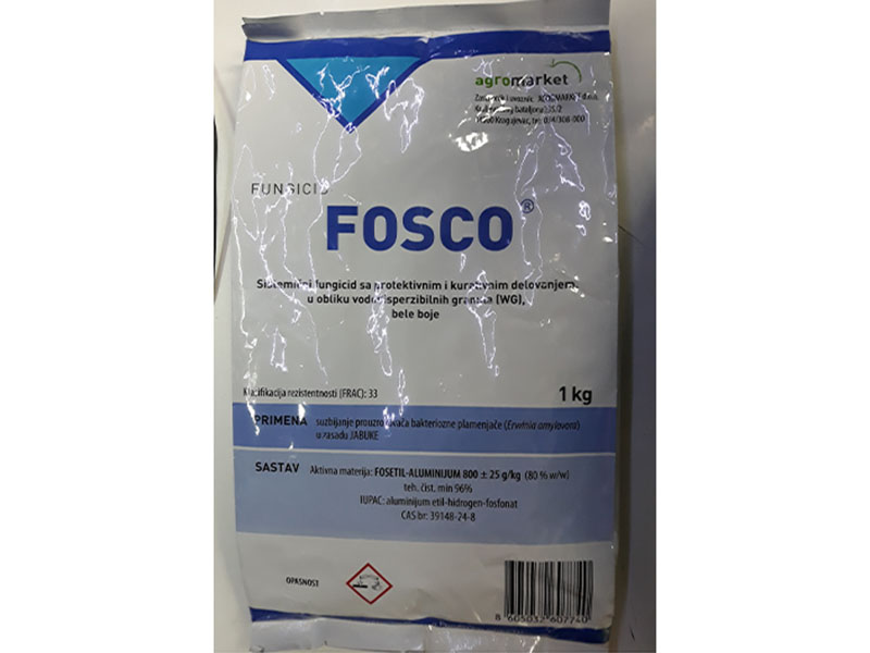 Fosco kesica