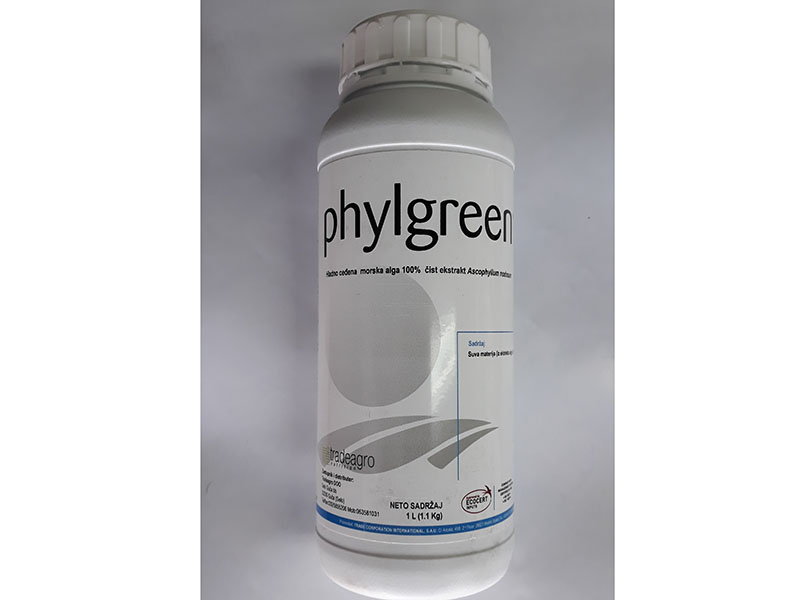 Phylgreen 20/1 Trade Corp