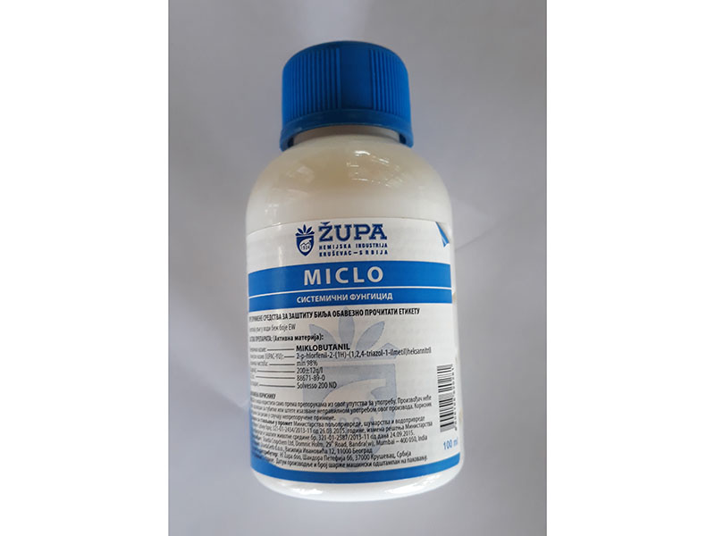Miclo - Slika 1