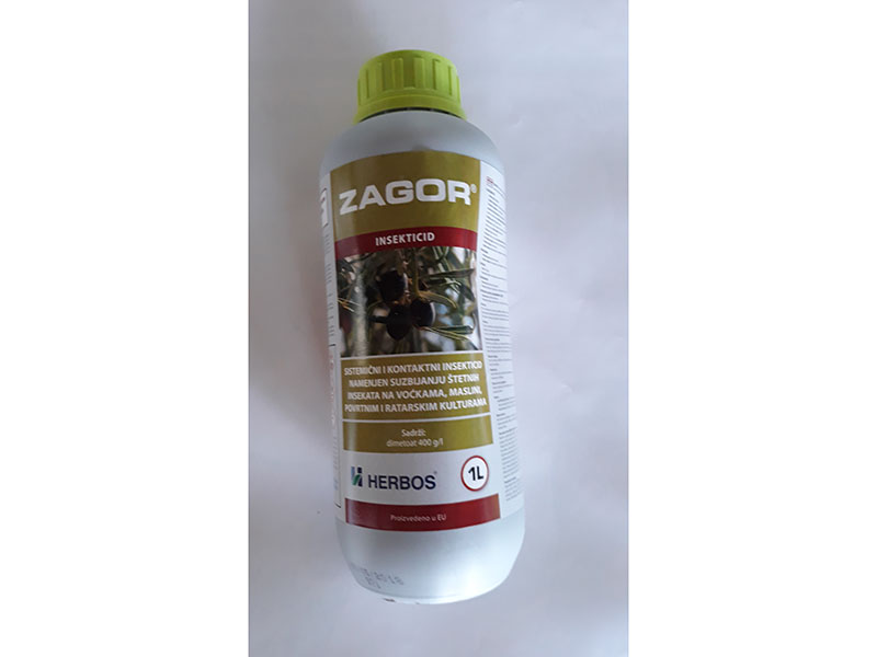 Zagor - Slika 1
