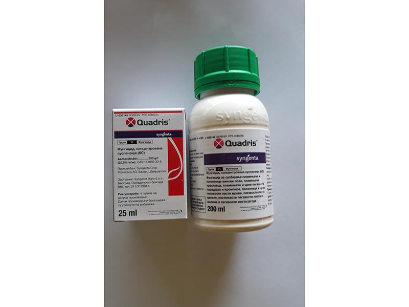 Quadris / 100ml