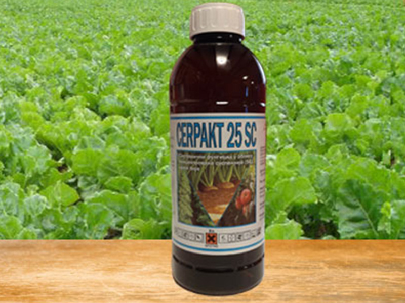 Cerpakt - Slika 1