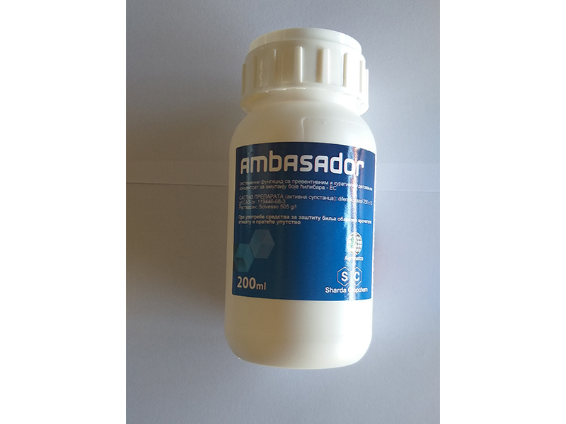 Ambasador - Slika 1