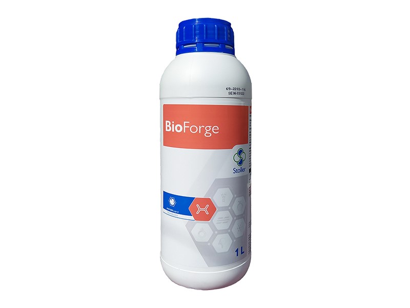 Bioforge a 1l Stoller Hoya