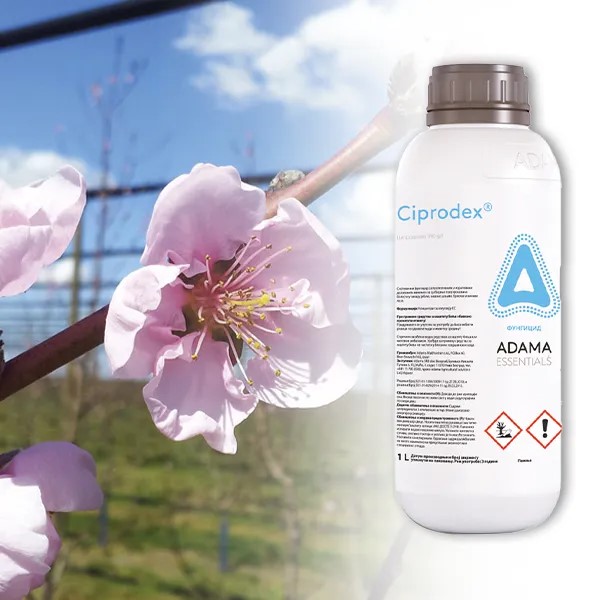 Ciprodex - Slika 1