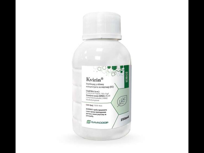 Kvirin 1/1