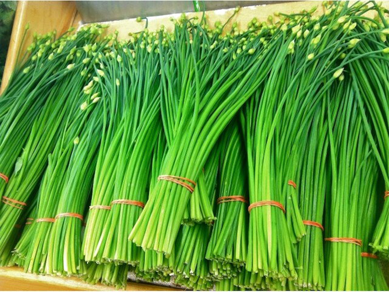 Luk Vlasac Welta 100g