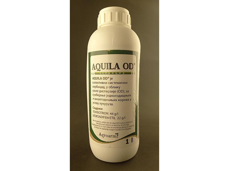 Aquila 1lit