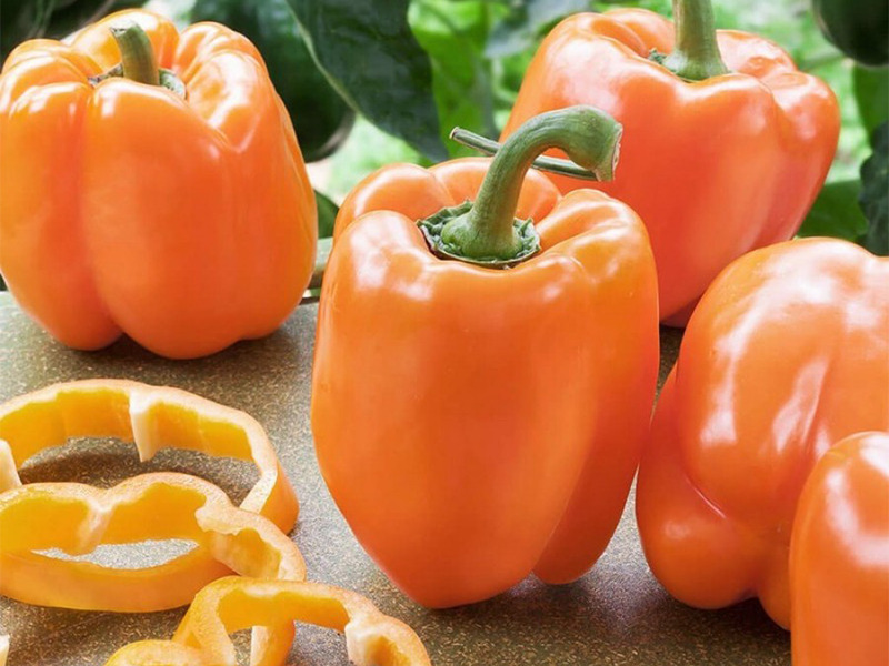 Paprika Clementine F1 500s yuk