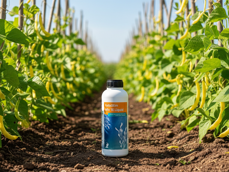 Folija stim mix 20lit  Van Iperen