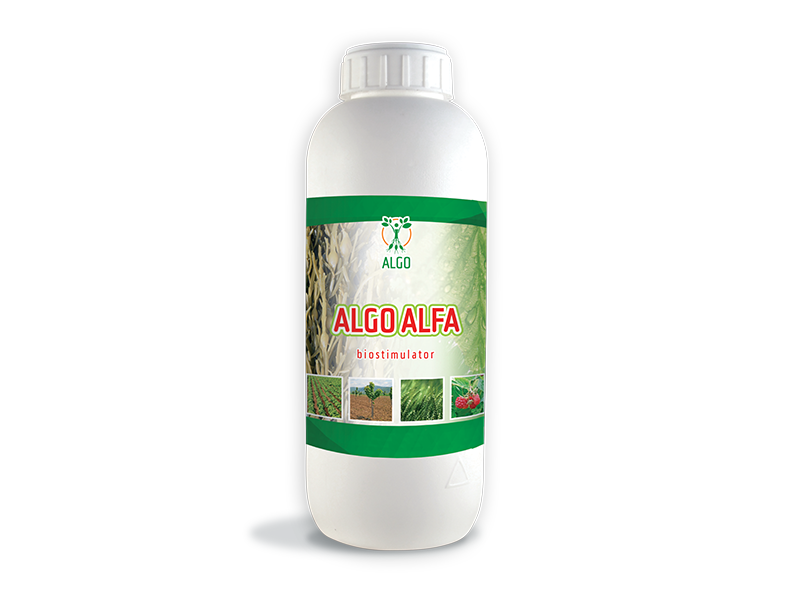 Algo alfa - Slika 1