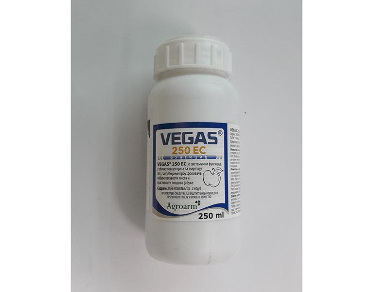 Vegas 250 EC - Slika 1