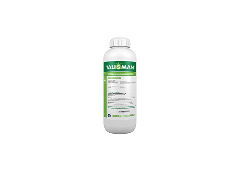 Talisman - Slika 1