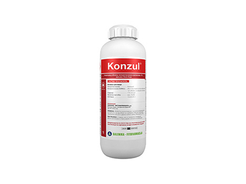 Konzul - Slika 1