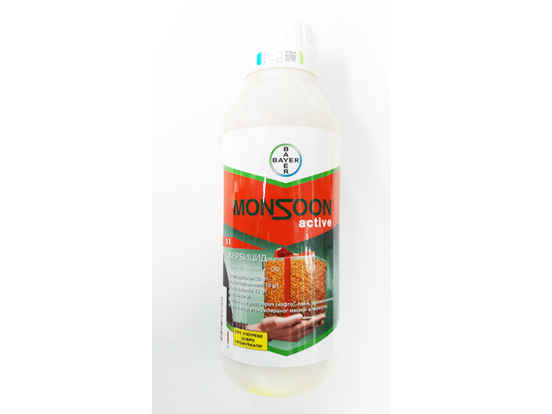 Monsoon active - Slika 1