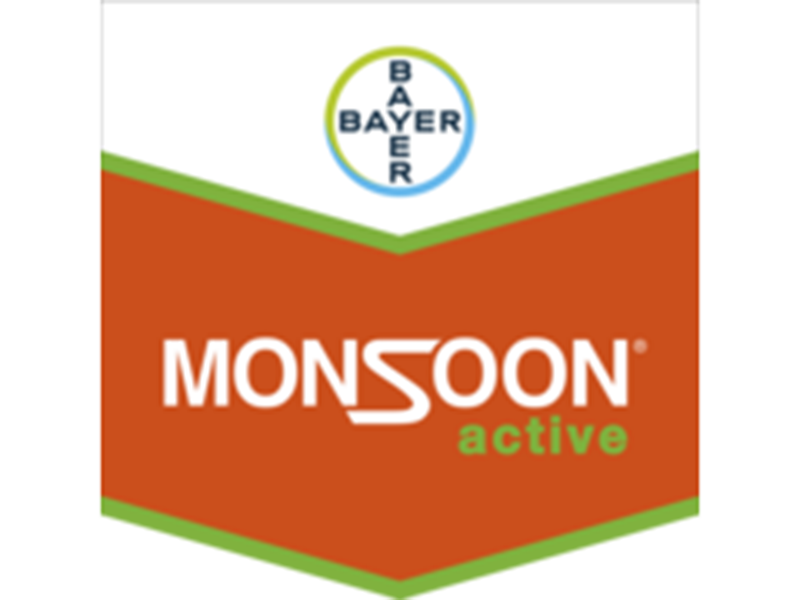 Monsoon active - Slika 2