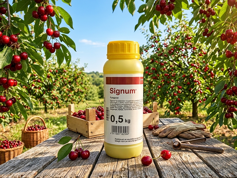 Signum / 100g