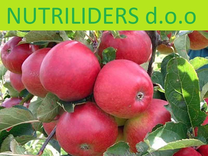 NUTRILEADERS – PROGRAM FOLIJARNE ISHRANE JABUKE