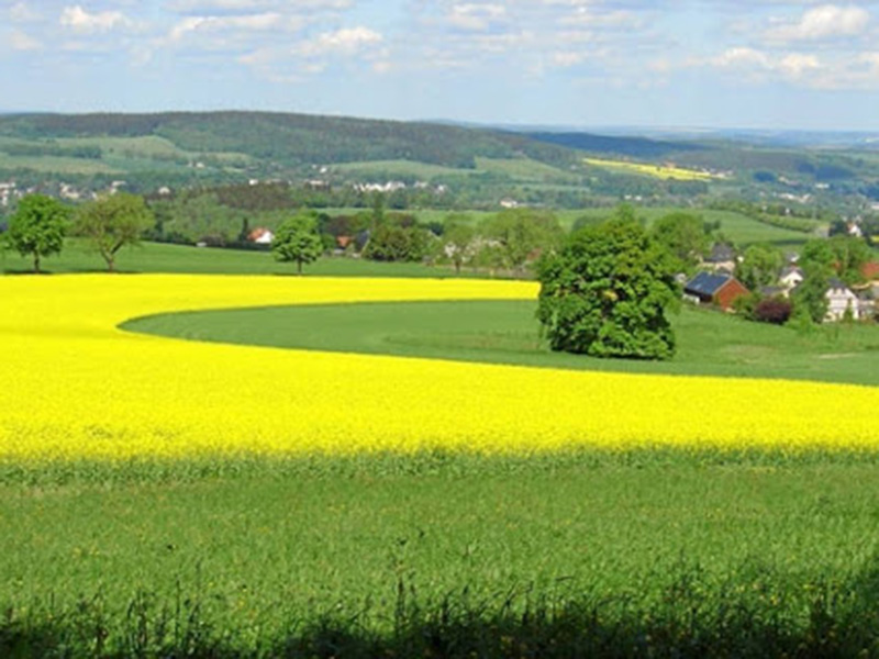 Bio gnezdo u ratarstvu i povrtarstvu - Slika 2