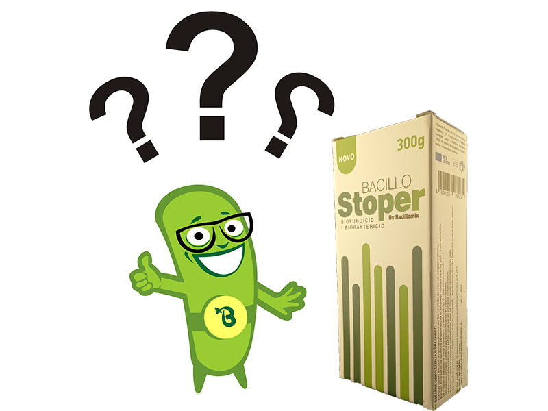 Sta je Bacillo Stoper?