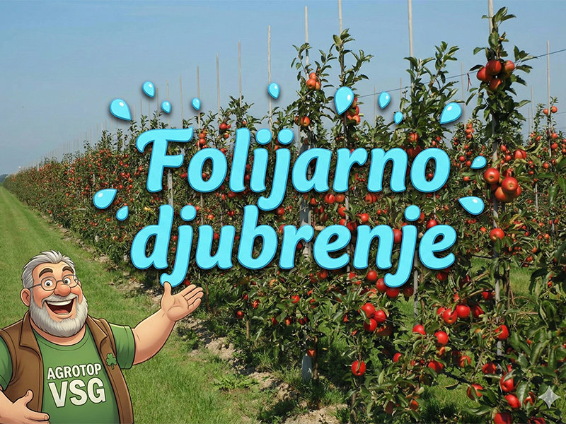 Folijarno djubrenje kao nacin djubrenja voca