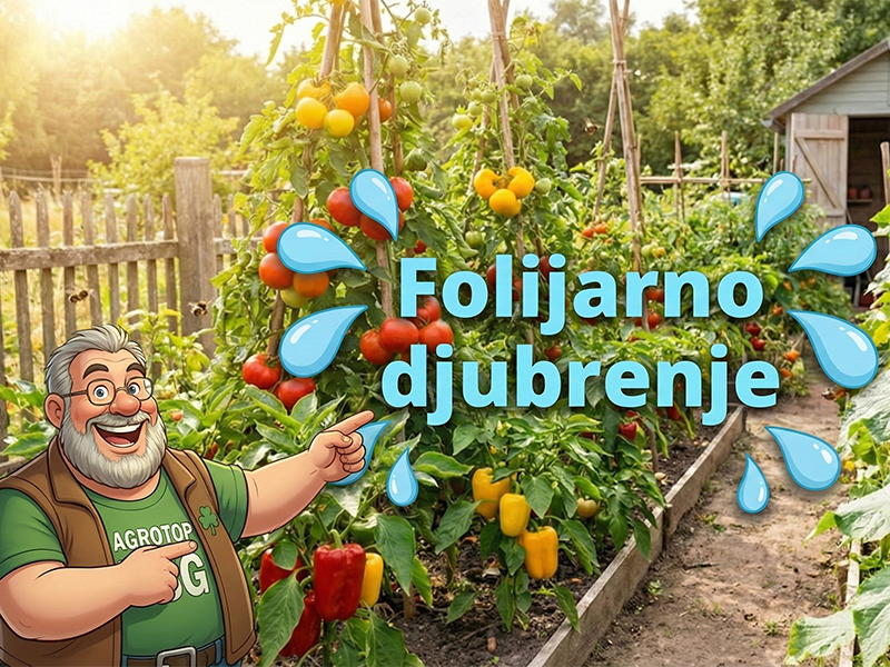 Folijarno djubrenje kao nacin djubrenja povrca